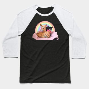 Three Chihuahuas in a rainbow basket Baseball T-Shirt